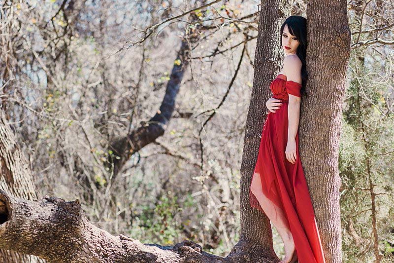 Glamour Portraits Of A Woman In A Red Dress 14