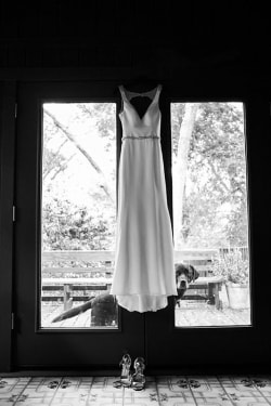 Wedding Dress Hanging Dog Looking In Window Dallas
